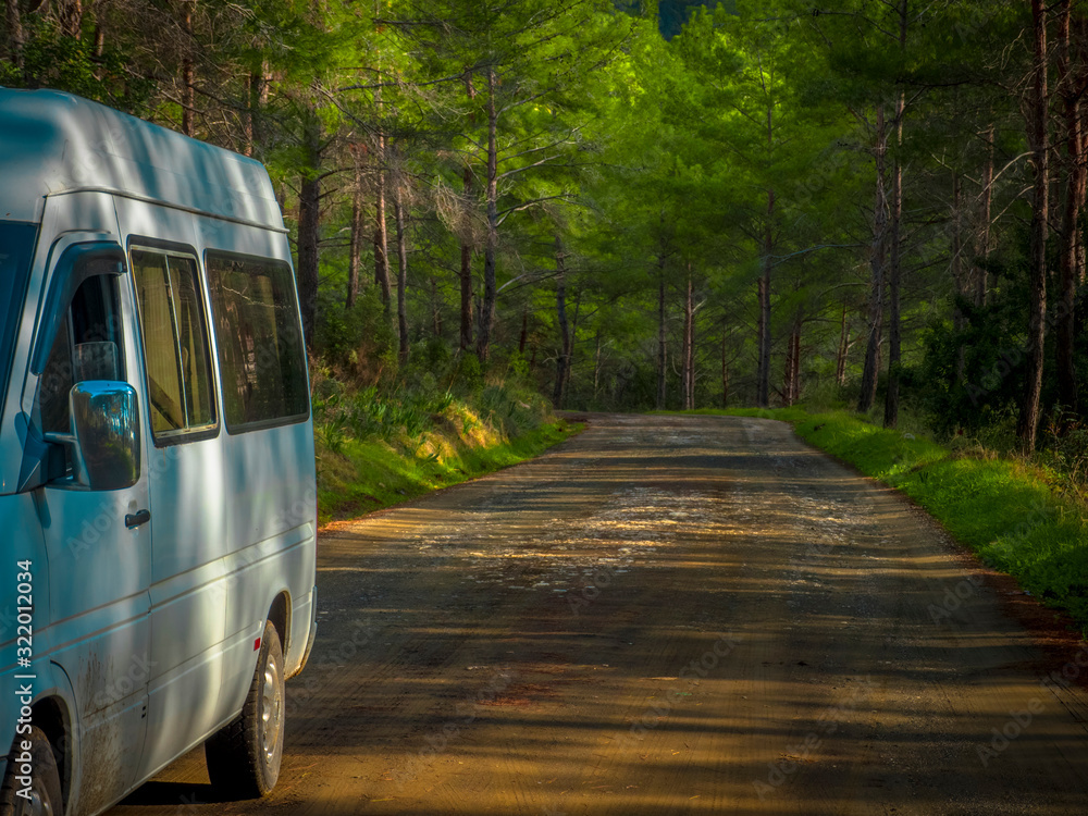 Obraz premium Road in the forest