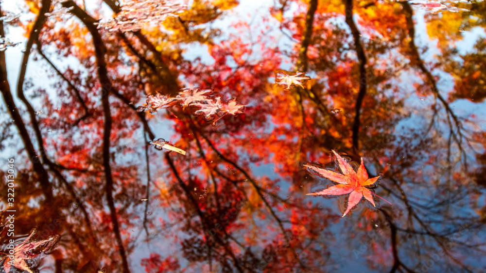 水面と紅葉　秋イメージ