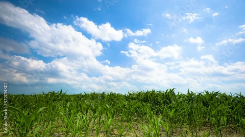 Timelpase of clouds over green field
