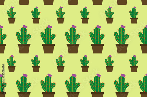 Seamless pattern of cactus with flowers. Green plants in pots. Cactus flat vector illustration.