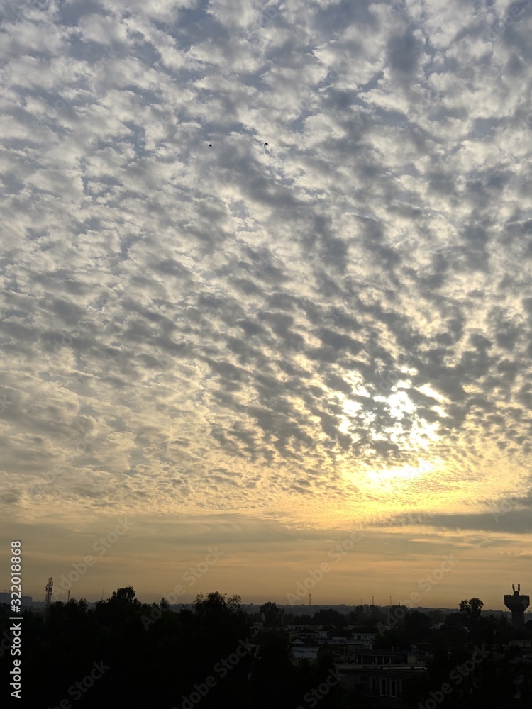 Obraz premium sunset in park