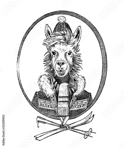 Alpaca lama skier character or guanaco athlete in winter clothes. Hand drawn Animal person portrait. Engraved monochrome fashion sketch for card, label or tattoo. Hipster Anthropomorphism.