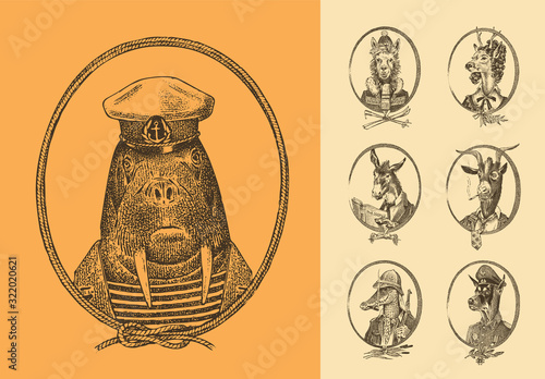 Animal characters set. Sailor walrus Llama Deer lady Walrus Crocodile Goat Dog Donkey Alpaca. Hand drawn portrait. Engraved monochrome sketch for card, label or tattoo. Hipster Anthropomorphism.