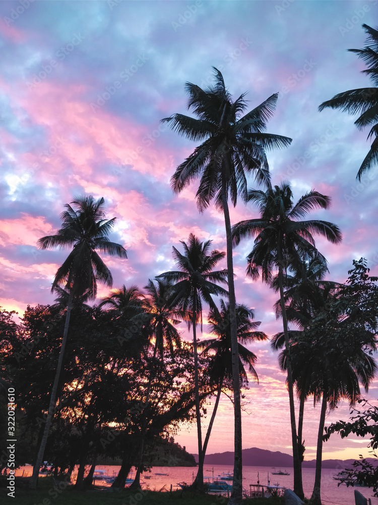 Obraz premium palm trees at sunset