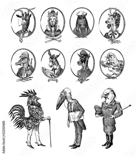Animal characters set. Bald eagle Rooster Stork Walrus Crocodile Goat Dog Donkey Alpaca Llama Deer. Hand drawn portrait. Engraved monochrome sketch for card, label or tattoo. Hipster Anthropomorphism.
