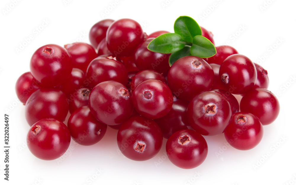Fresh cranberry isolated on white background Fresh cranberry isolated on white background
