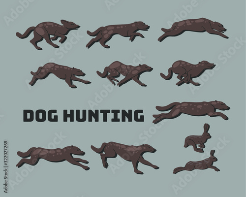 vector illustration of a set of dogs in motion, the dynamics of the animal's running. The hunting of the hare, rabbit, anatomy, movement
