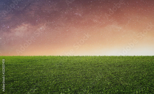 Starry sky with sunlight over green grass