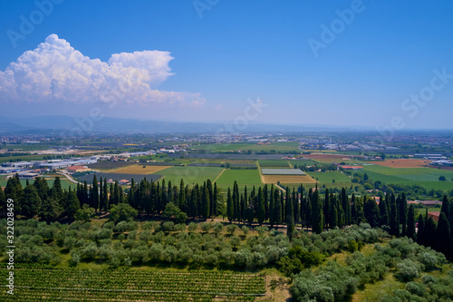 Aerial view  panorama of vineyards north Italy