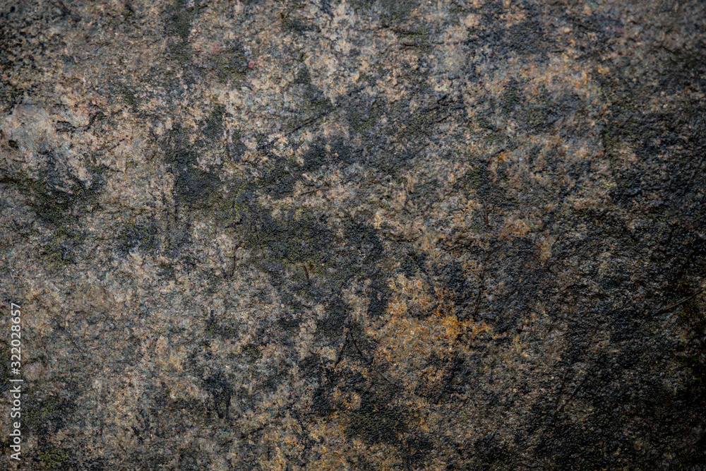 Texture of wet stone covered with moss. Background image of macro photography texture stone Texture of wet stone covered with moss. Background image of macro photography texture stone
