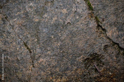 Texture of wet stone covered with moss. Background image of macro photography texture stone