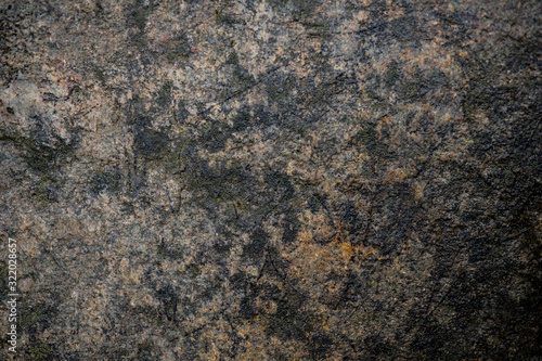 Texture of wet stone covered with moss. Background image of macro photography texture stone