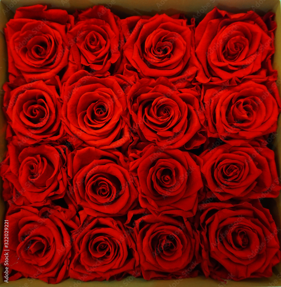 Red roses in a gift box roses in a box just for mothersday or valentine background