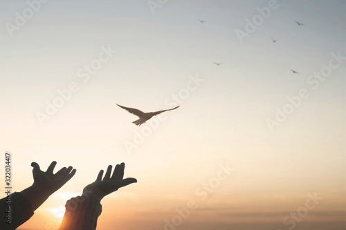 magical moment of a person who frees a bird in the sky photo