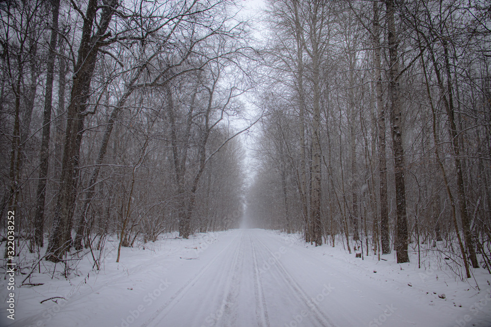 Obraz premium Beautiful winter landscape - snowy forest road on a cloudy day with heavy snow