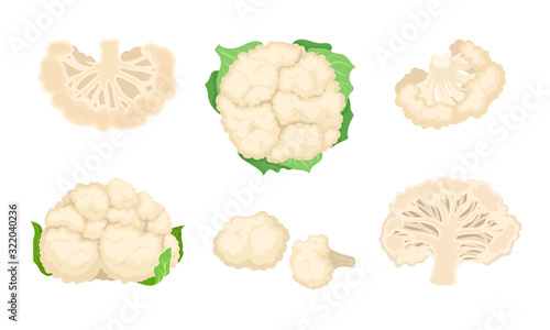 Cauliflower Cabbage with Separated Florets Isolated on White Background Vector Set