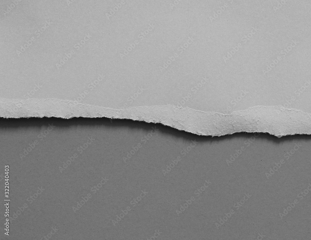 pieces of torn paper texture background, copy space. pieces of torn paper texture background, copy space.