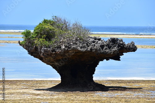 The rock at Chale Island