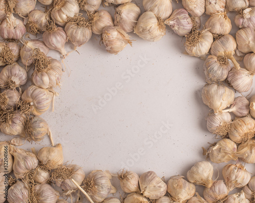 frame of garlic on white background background