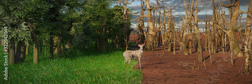 Canvas-taulu deer in past and future forest, climate change crisis, global warming impact on