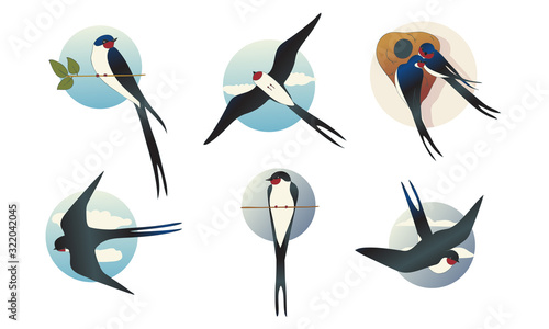 Swift Barn Swallow with Spread Wings in Flying Pose and Sitting on Tree Branch Vector Set