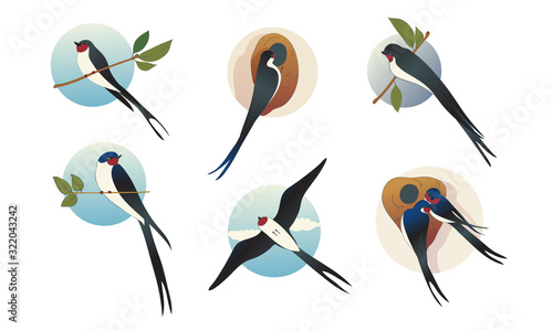 Swift Barn Swallow with Spread Wings in Flying Pose and Sitting on Tree Branch Vector Set