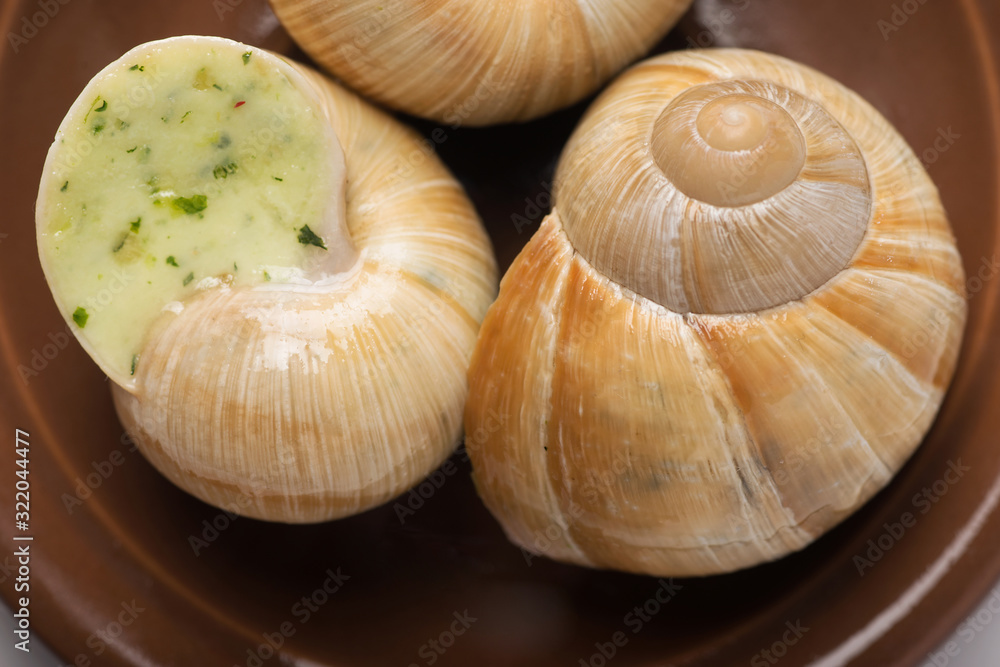 still life of stuffed snail sauce, on a white background