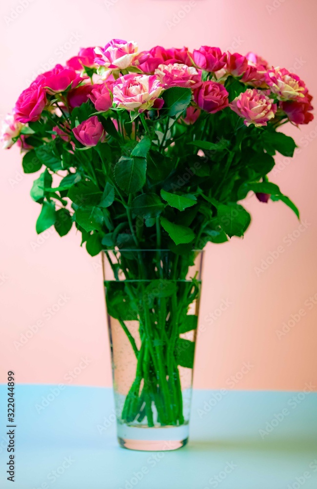 Obraz premium Pink roses on pink background