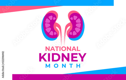 The National Kidney Month vector illustration. Banner  poster for prevention of kidney diseases. Two human kidneys in an abstract trend style. American educational campaign. Urogenital system.