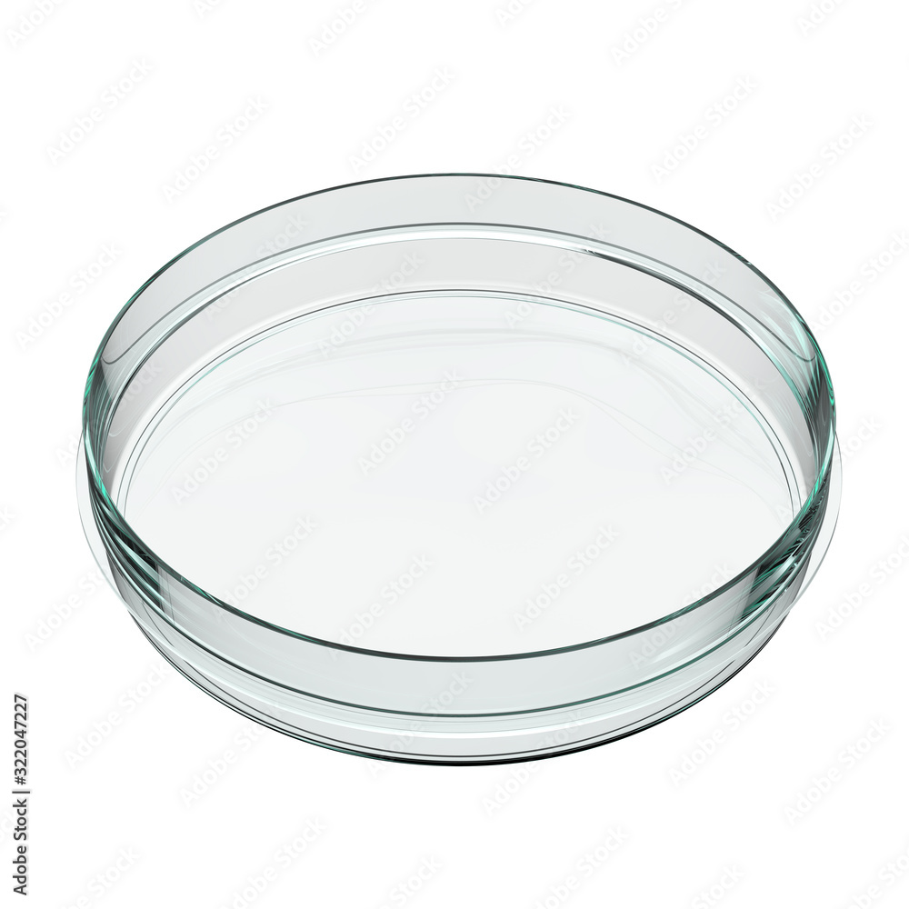 Angle View of Empty Transparent Glass Petri Dish. 3D Render Isolated on White Background. Angle View of Empty Transparent Glass Petri Dish. 3D Render Isolated on White Background.