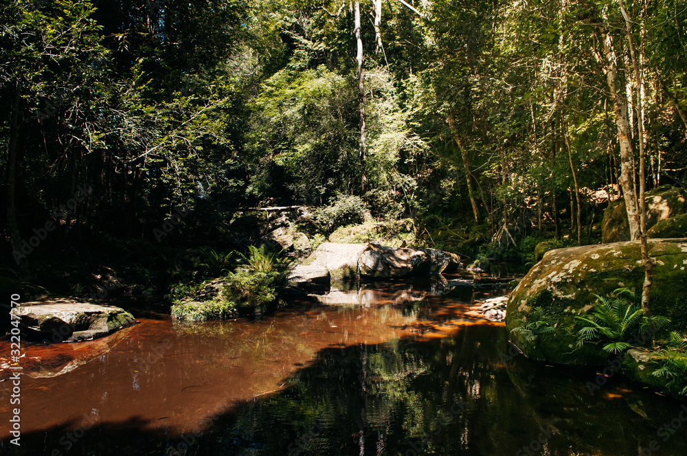 Fototapeta premium High contrast shadow and curvy water stream in tropical forest at Phu Kradueng National park, Loei - Thailand