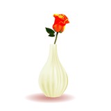 Branch of a rose in a vase isolated on a white background. Flower. Orange..