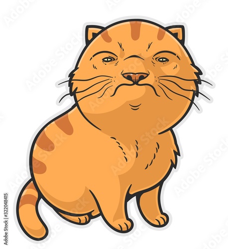 Funny brutal cat