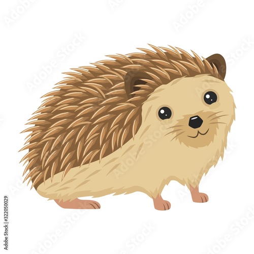 Cheerful hedgehog cartoon character vector illustration