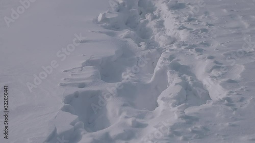 Footprints are covered with snowSnow. Footprints in the snow. Footprints are covered with snow photo