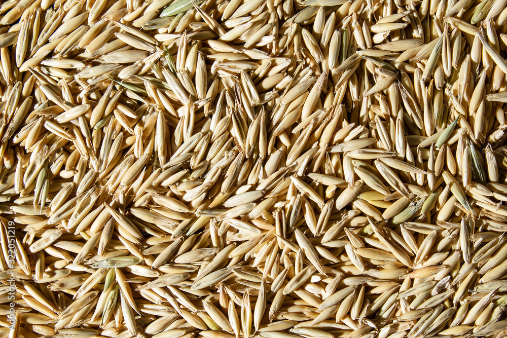 wheat pattern food close up top view wheat pattern food close up top view