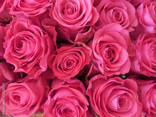 Bouquets of pink roses close-up