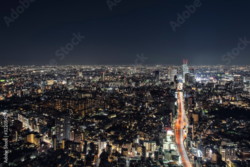 Tokyo ciity by night viewed from high up