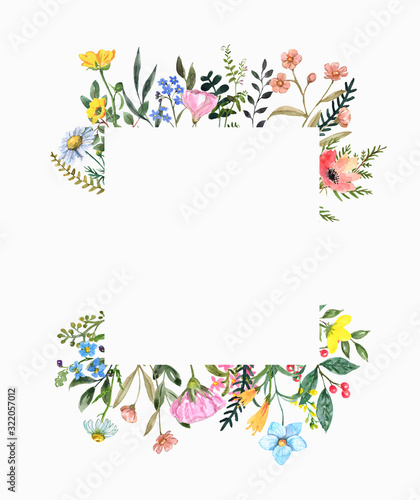 Watercolor wildflower frame on white background. Beautiful summer meadow flowers border, botanical backdrop for cards, invitations. Floral hand drawn illustration photo
