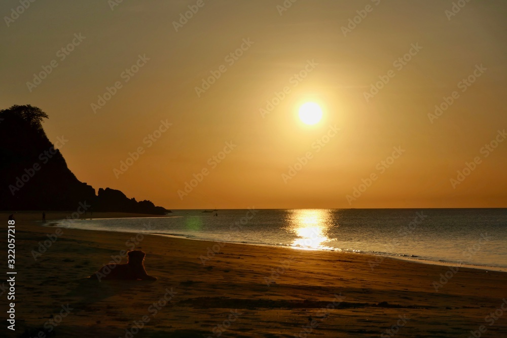 Sunset with orange sky at Nacpan beach with silhouette of sleeping dog, El Nido, Palawan, Philippines