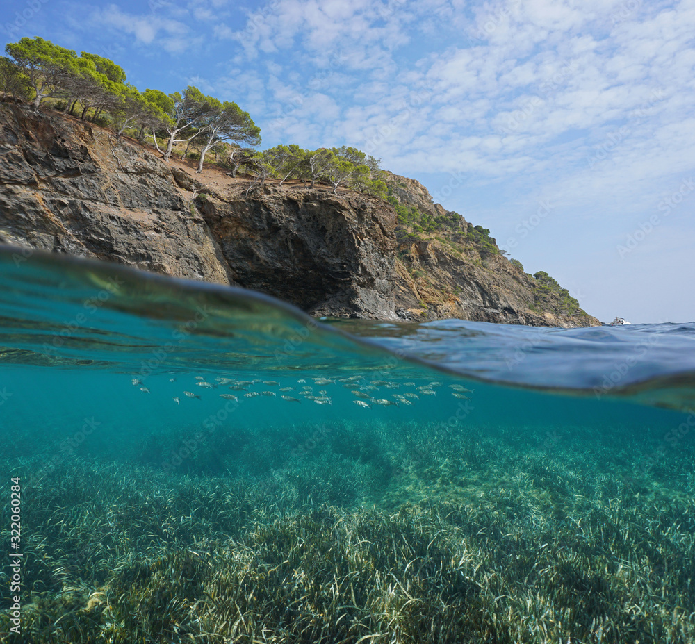 Seascape Mediterranean sea, rocky coast with seagrass and fish underwater, split view over and under water surface, Spain, Costa Brava, Catalonia, Cap de Creus