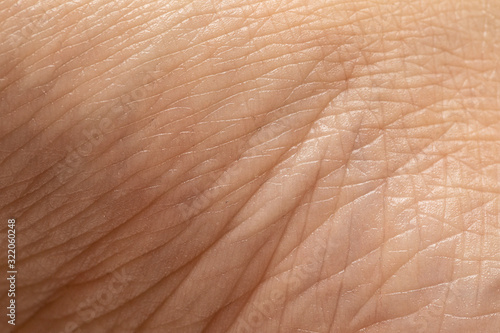 Wallpaper Mural Details of the texture of the skin of a Caucasian woman Torontodigital.ca
