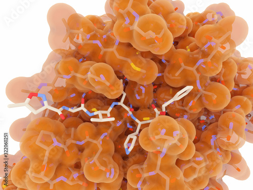 Active site of the coronavirus main protease with an inhibitor bound. The 3CL hydrolase  is thought to be a promising target for antiviral drugs  photo