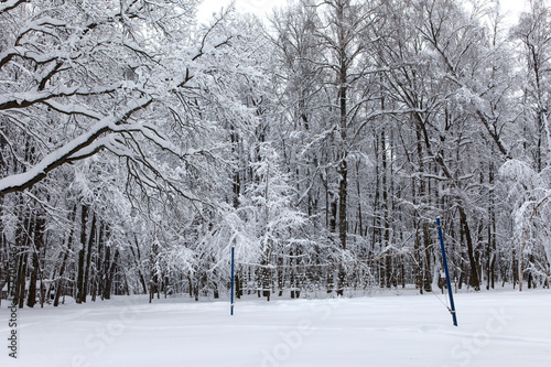 Volleyball court covered with snow after winter snowfall. Beautiful landscape of February park with a sports field  snowy trees snowdrifts background. Black white monochrome photo.