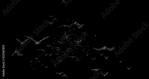 Halloween Swarm of Bats Flying towards Camera A swarm of bats appears and flies towards the camera. Add this video on top of any video to give it a realistic creepy look and feel!,Alpha channel