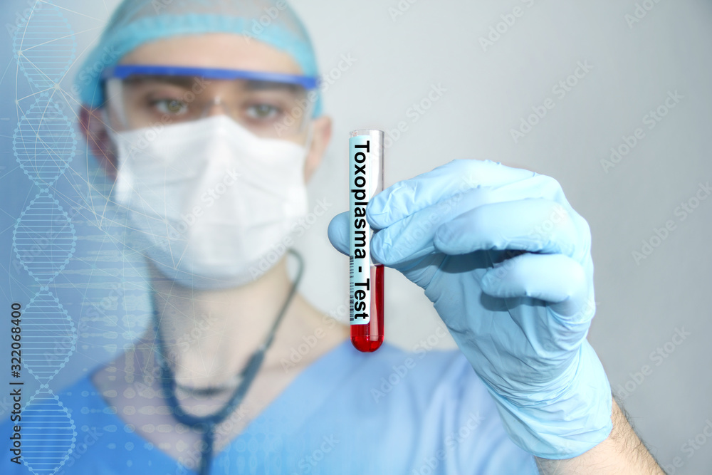 male doctor in blue uniform with a stethoscope in a protective mask and glasses looks at a laboratory test tube with blood, the concept of the study and treatment of toxoplasmos male doctor in blue uniform with a stethoscope in a protective mask and glasses looks at a laboratory test tube with blood, the concept of the study and treatment of toxoplasmos