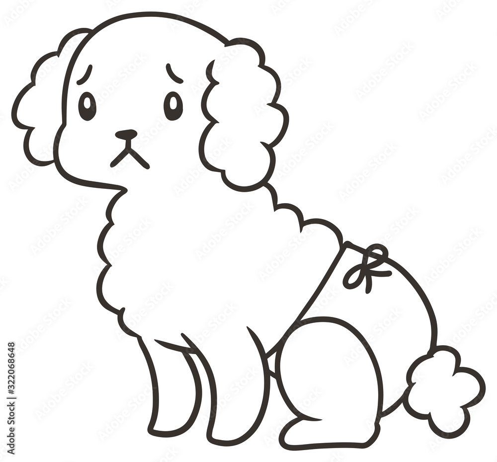 Obraz premium パンツをはいたトイプードルのイラスト_困り顔