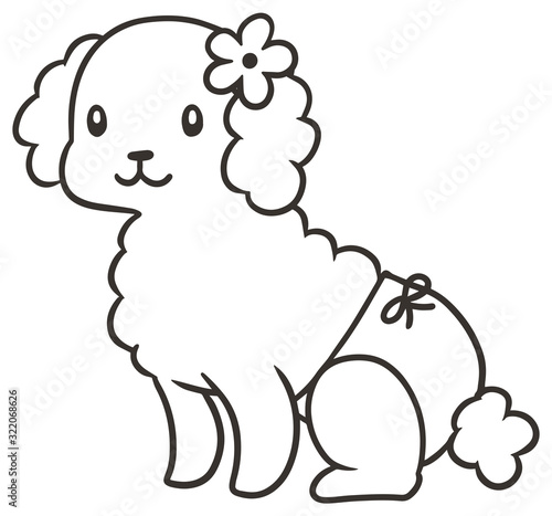 パンツをはいたメスのトイプードルのイラスト