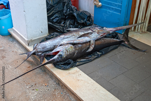 Some swordfish caught and resting on the threshold of a fisherman's house.