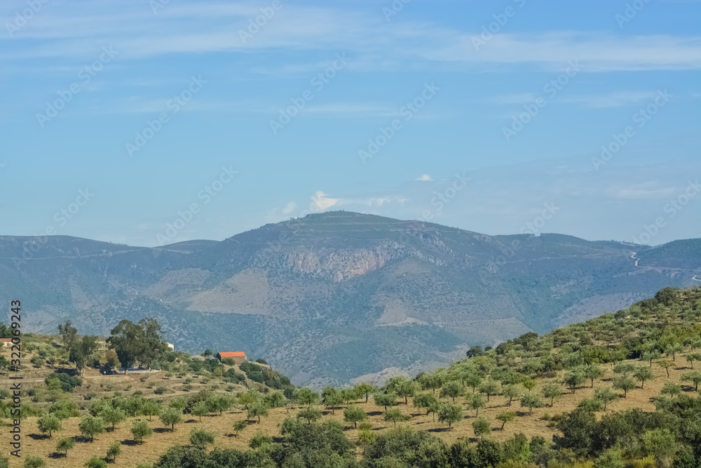 Panoramic view of the typical landscape of the Douro, in the north of Portugal